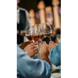 🍷 Cata Magistral — Bodega Williams & Humbert
