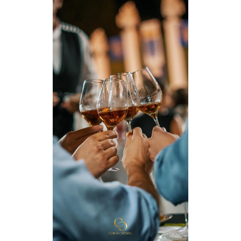 ✨ Cata Magistral — Bodega González Byass